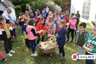 Az óvodások érdeklődve figyelték, hogy régen miként zajlottak az őszi munkálatok (Gulyás Réka felvétele)