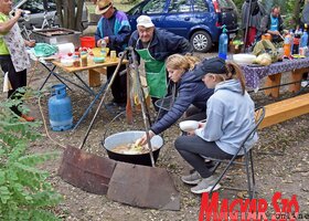 Kukoricamóva Felsőhegyen