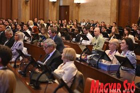 Világhírű nőgyógyászok, szülészorvosok és kutatók tanácskoznak Újvidéken