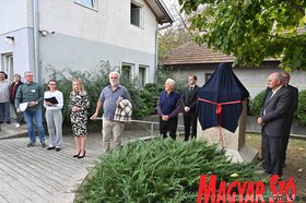 Ökumenikus segélyszervezet