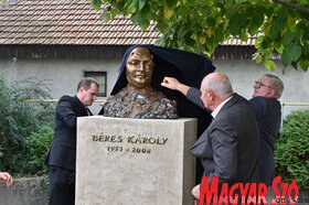 Ökumenikus segélyszervezet