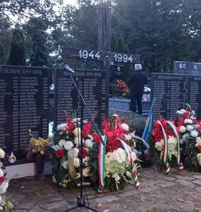 Az áldozatok tömegsírja Temerinben (archív fotó)