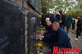 Kegyeletadás a Vergődő madár emlékműnél