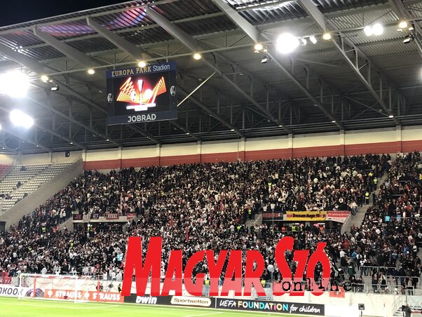 Erős Kincses Krisztina felvétele Erős Kincses Krisztina felvétele