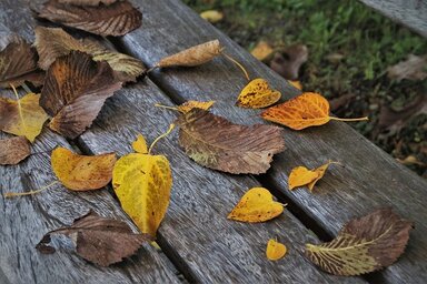 Pixabay