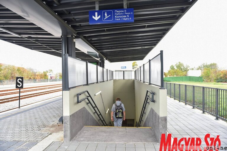 Molnár Edvárd felvétele