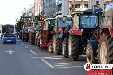 Dávid Csilla felvétele