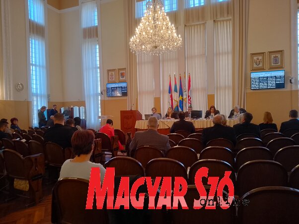 Bajić Jenei Klementina felvétele Bajić Jenei Klementina felvétele