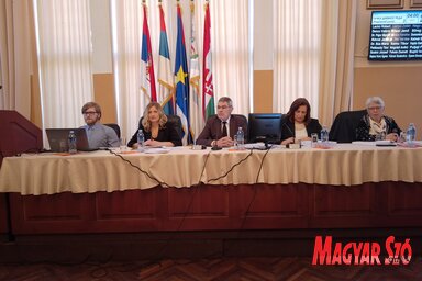 Bajić Jenei Klementina felvétele