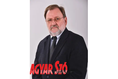 (Foto: Edvard Molnar)