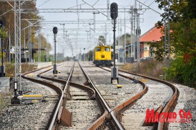 Molnár Edvárd illusztrációja