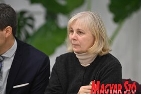 Az MNT kulturalis stratégiájának közvitája Torokkanizsan