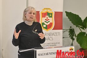 Az MNT kulturalis stratégiájának közvitája Torokkanizsan