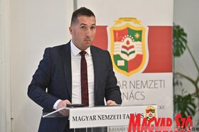 Az MNT kulturalis stratégiájának közvitája Torokkanizsan