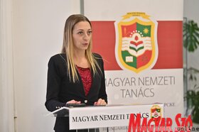 Az MNT kulturalis stratégiájának közvitája Torokkanizsan