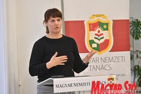 Az MNT kulturalis stratégiájának közvitája Torokkanizsan