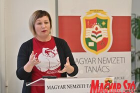 Az MNT kulturalis stratégiájának közvitája Torokkanizsan