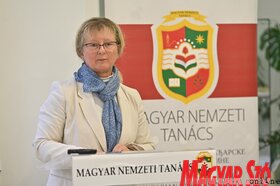 Az MNT kulturalis stratégiájának közvitája Torokkanizsan