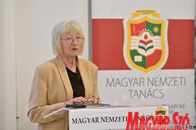Az MNT kulturalis stratégiájának közvitája Torokkanizsan