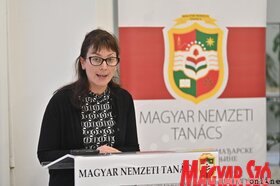 Az MNT kulturalis stratégiájának közvitája Torokkanizsan