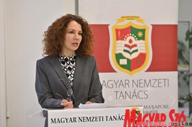Az MNT kulturalis stratégiájának közvitája Torokkanizsan