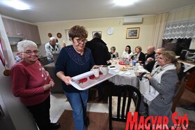 A Vajdasági Magyar Szövetség kampányrendezvénye Dél-Bánátban, Pancsován, Sándoregyházán és Hertelendyfalván.