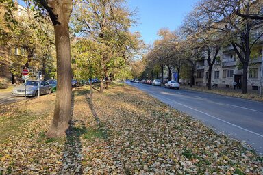 mojnovisad.rs