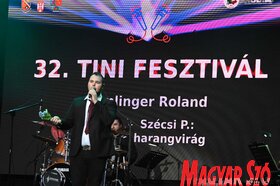 Tini Fesztivál Temerinben