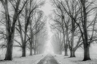 pixabay.com