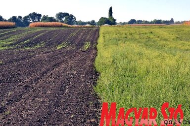 Gergely Árpád felvétele