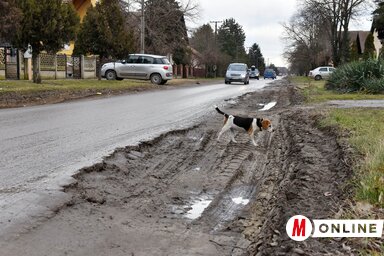 Molnár Edvárd felvételei