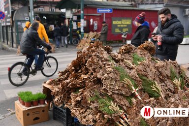Molnár Edvárd felvétele