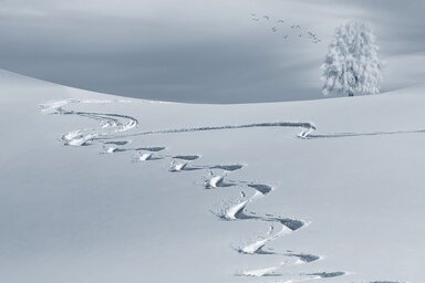 Forrás: Pixabay
