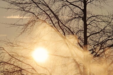 pixabay.com
