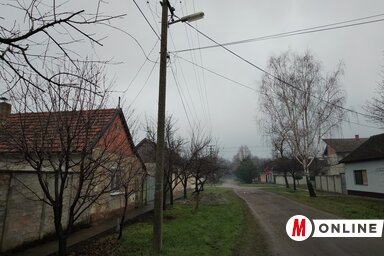 A szerző felvétele