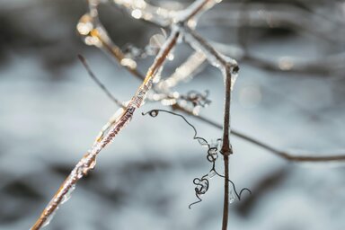 Decemberben  sok csapadékra számíthatunk (Fotó: Pexels)