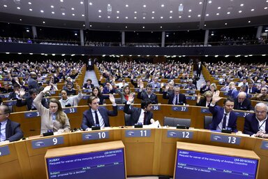 Az EP plenáris ülésén múlt héten vitáztak a szerbiai választásokról, míg a határozatról február 8-án szavazhatnak (Fotó: Reuters)