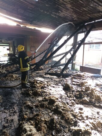 Még ma reggel is folyt az oltás (Horvát Alen felvétele)