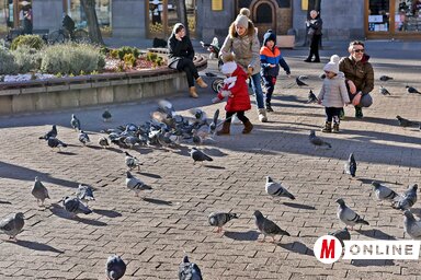Gergely Árpád archív