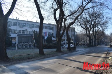 Az utcában található a szabadkai Közegészségügyi Intézet épülete / Patyi Szilárd