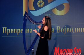 105 éves a Vajdasági Gazdasági Kamara