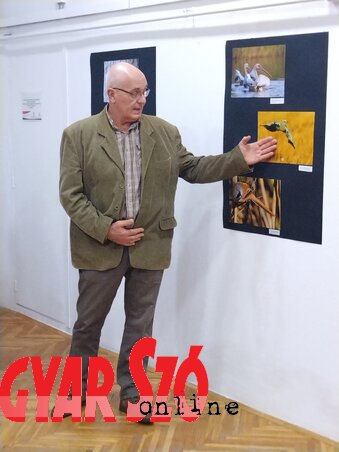 Gergely József értékeli az első helyezett fotót (Fotó: Gecse Attila felvétele) Gergely József értékeli az első helyezett fotót (Fotó: Gecse Attila felvétele)