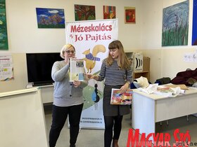 Gyermeklapjaink bemutatkozója a nagybecskereki, muzslyai és szentmihályi általános iskolákban