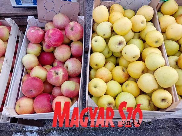 60−80 dináros kilónkénti áron már szép almát kaphattunk (Paraczky László felvétele)