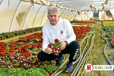 Tóthfaluban van miből választani a virágbirodalomban, a Dukai Virágkertészetben (Gergely Árpád felvétele)