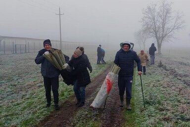 A faültetést 2019-ben kezdték: ezúttal a Zobnatica és Kisbelgrád közötti részen, utána a Topolya és Tomislavci közötti szakaszon ültettek el facsemetéket / Zeleno Zvonce felvétele