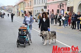 Utcabál Maszkabál Karnevál Farsang