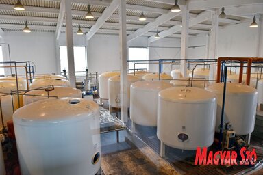 Az egyes számú vízgyárban 32 nagy méretű fehér tartály összesen húsz tonna töltetét cserélik le / Molnár Edvárd felvétele