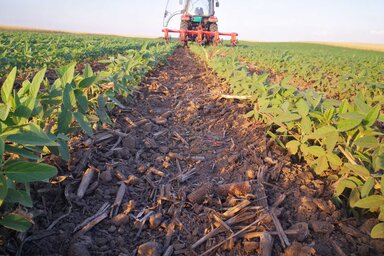 Tapasztalatai szerint a szója különösen kedveli a talajmegújító technológiát / Horkai Zsolt archív