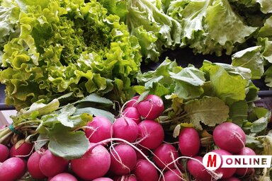 Gál Hermina felvétele